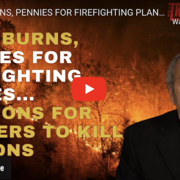 AS LA BURNS, PENNIES FOR FIREFIGHTING PLANES… TRILLIONS FOR BOMBERS TO KILL MILLIONS